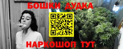 гидропоника Владимир